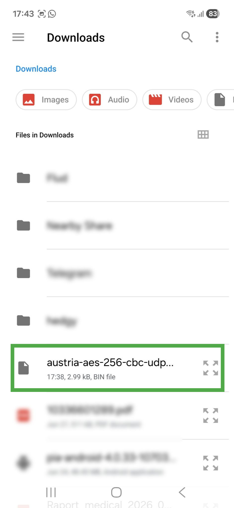 File manager app on an Android phone, showing recent downloads. An OpenVPN configuration file is highlighted.