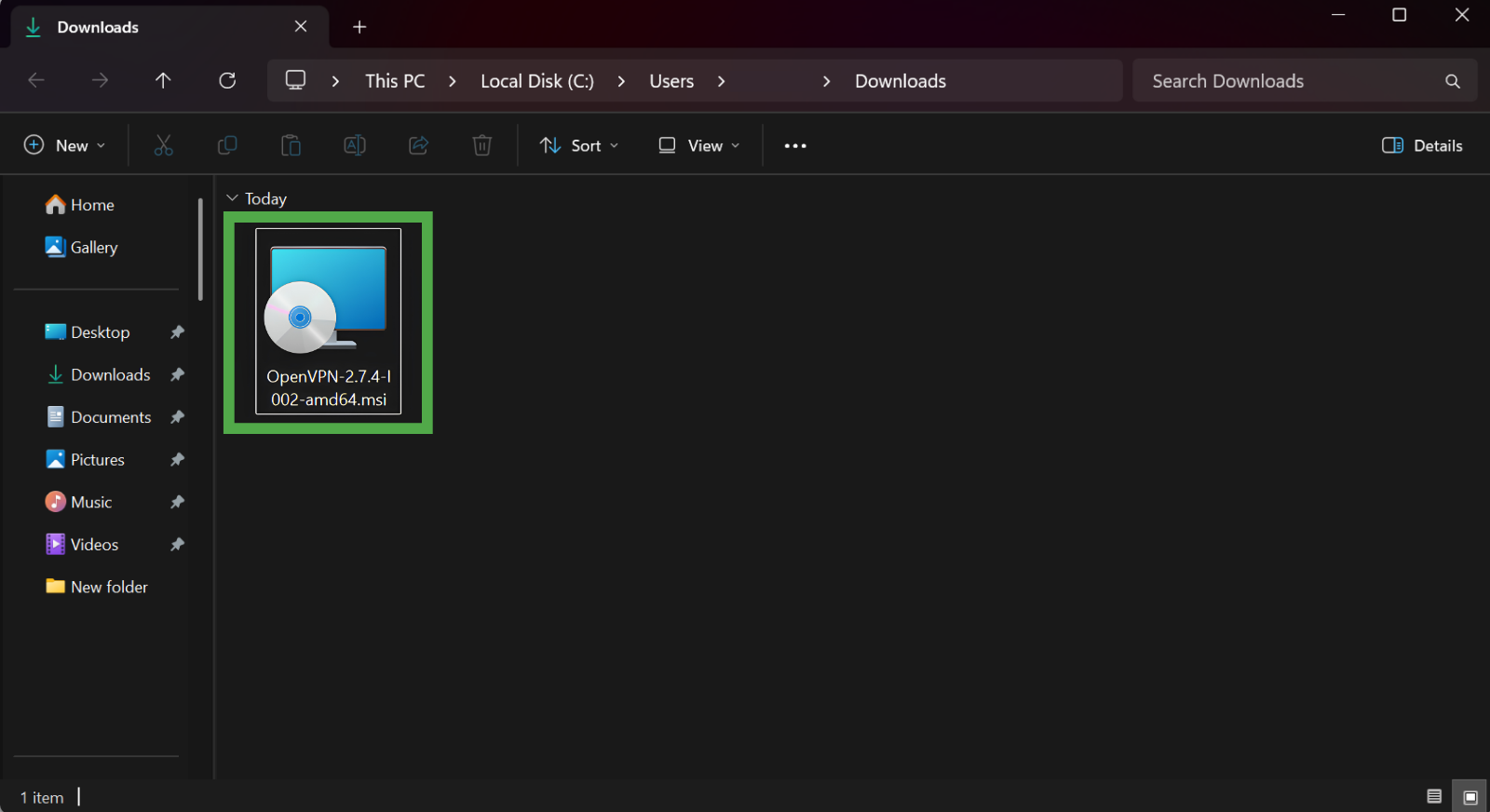 Windows Downloads folder displaying the "OpenVPN" installer file.