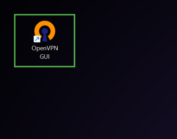 Windows desktop showing the "OpenVPN GUI" application shortcut icon highlighted with a green box.