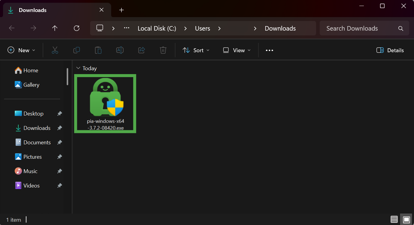 Windows Downloads folder with the PIA installer file highlighted in a green box.