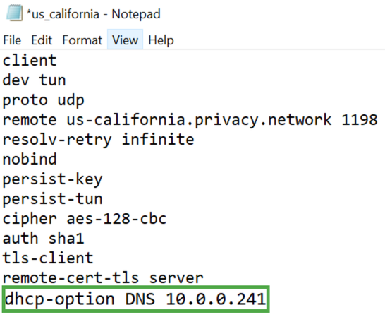 Private Internet Access OpenVPN server file opened in a text editor. The "dhcp-option DNS 10.0.0.241" line is highlighted.