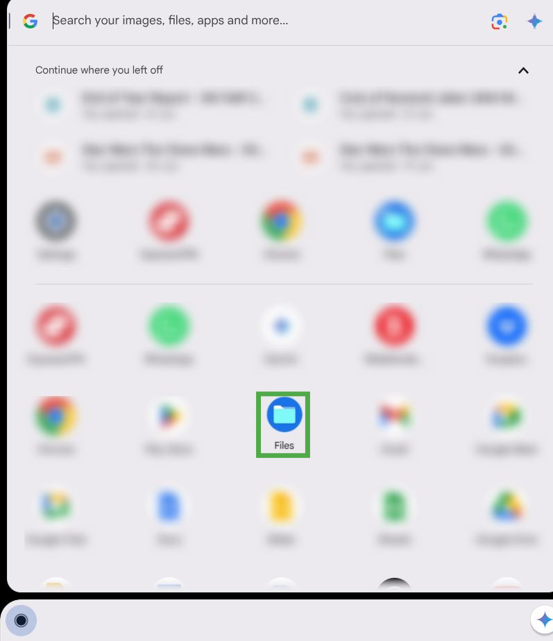 Launcher menu on Chromebook showing files button