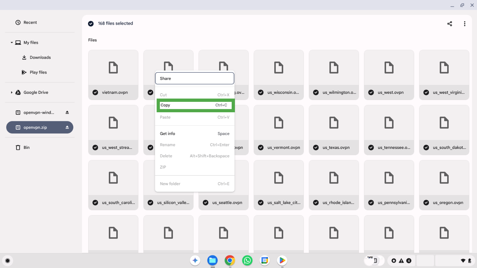 Opened archive with configuration files and copy selected in the context menu