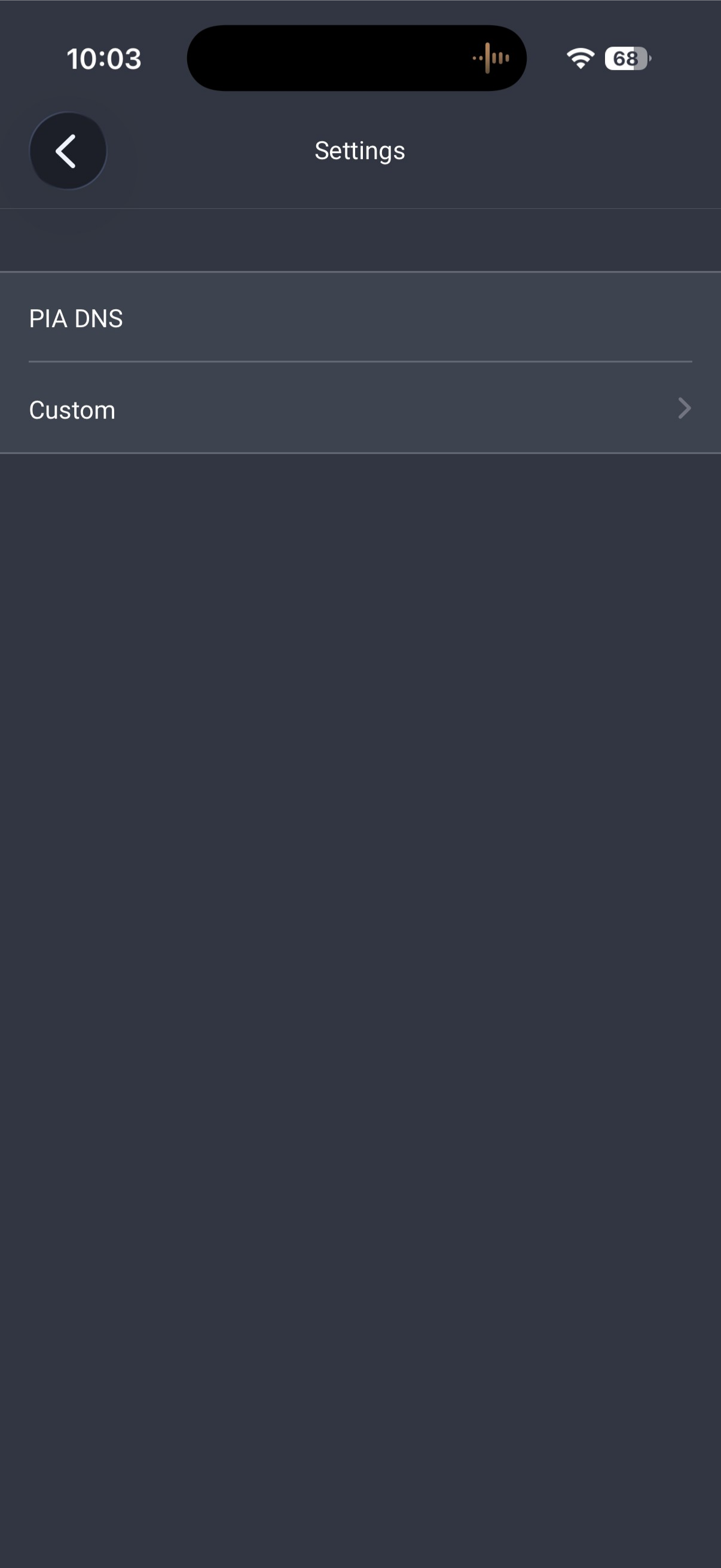 PIA DNS settings showing Custom DNS and custom options