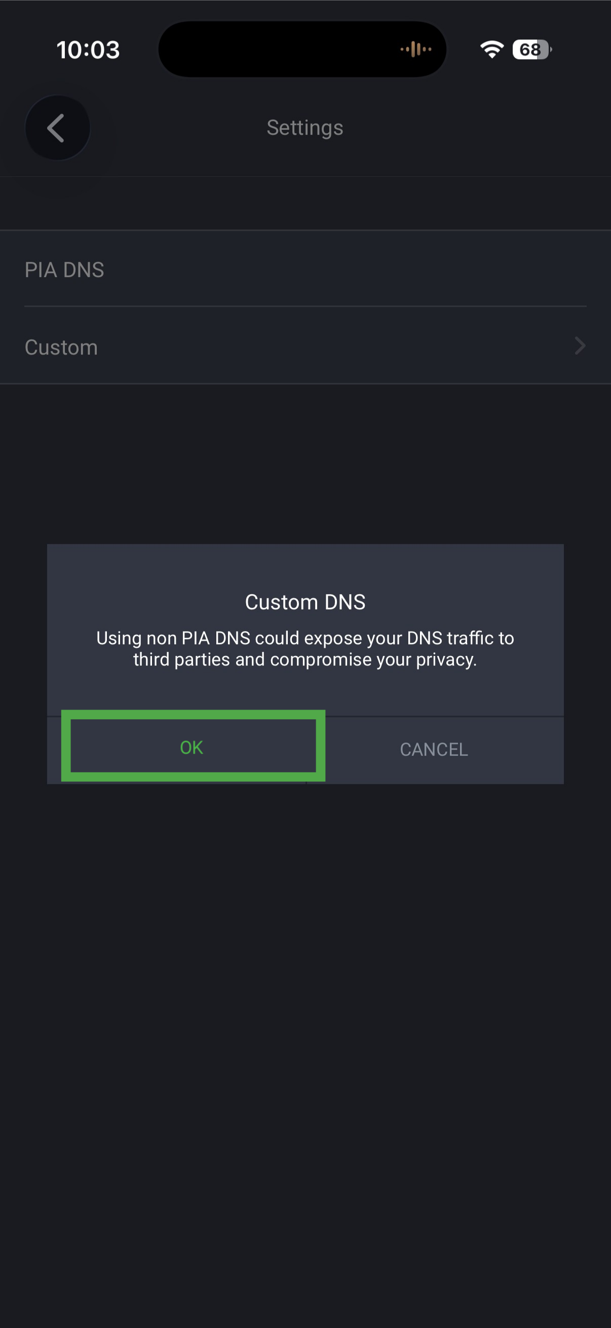 Custom DNS warning dialog displayed with the OK button highlighted.