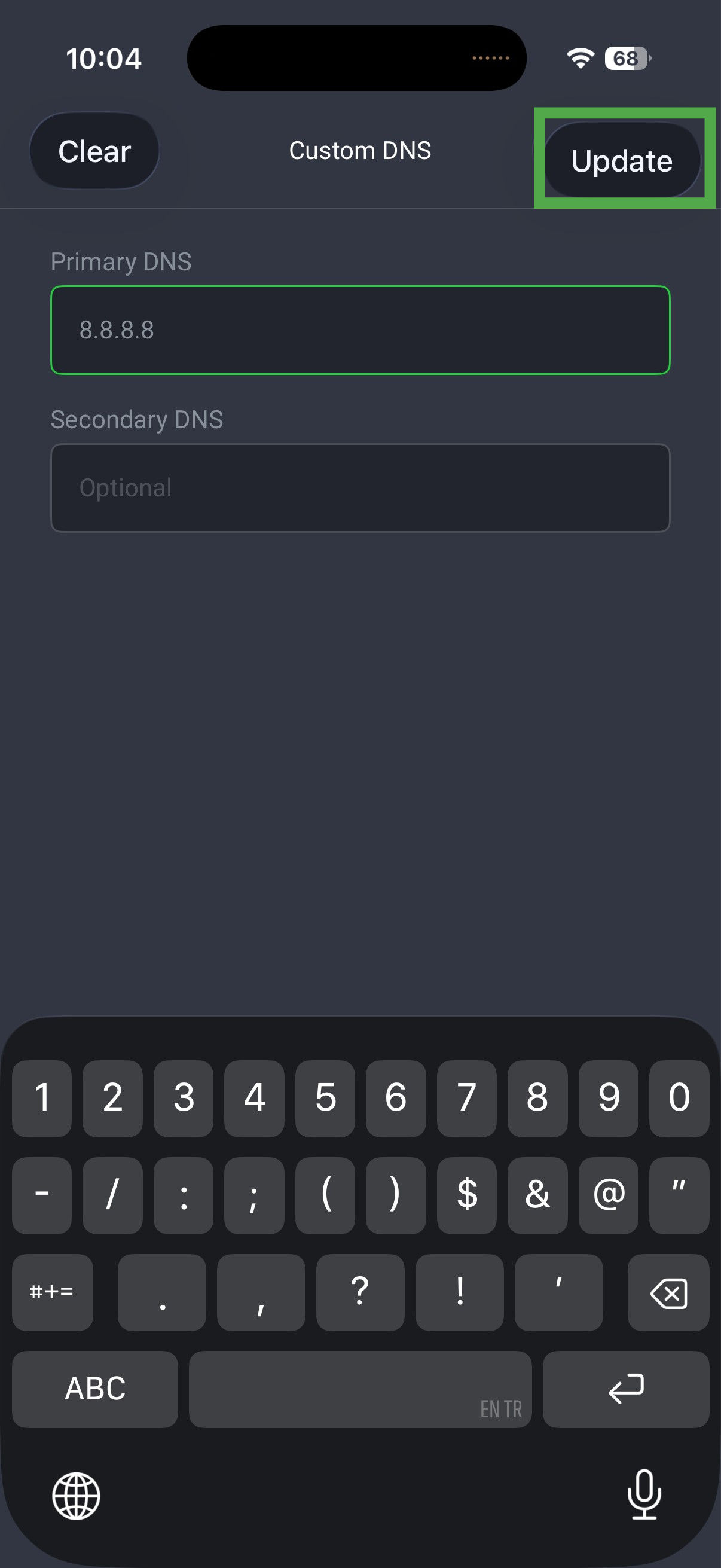 Custom DNS screen with a primary DNS address entered and Update highlighted.