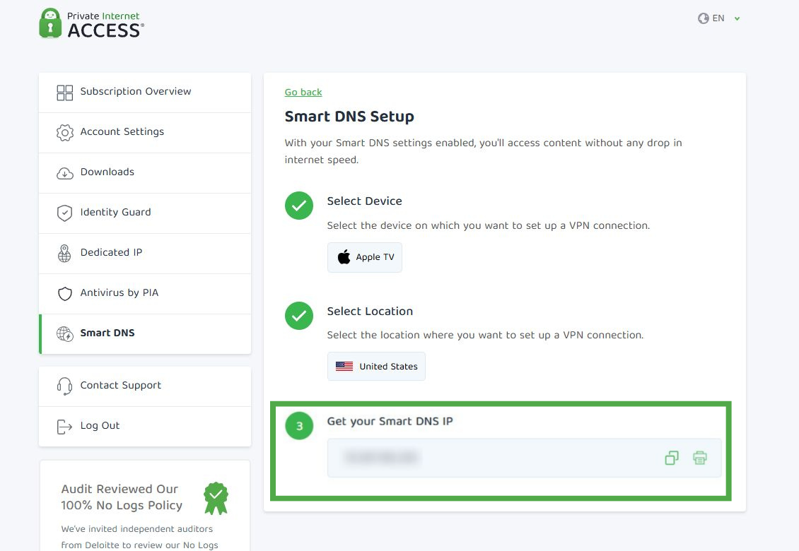 Generated Smart DNS IP address displayed on the Smart DNS Setup page.