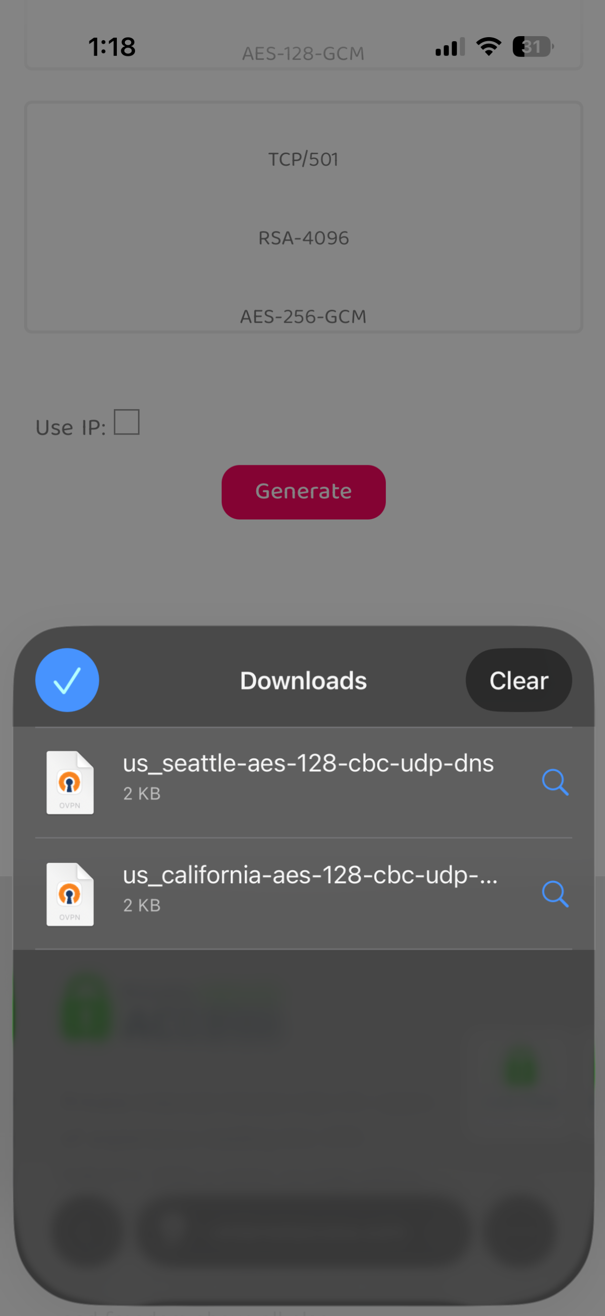 iPhone Downloads showing downloaded OpenVPN configuration files.