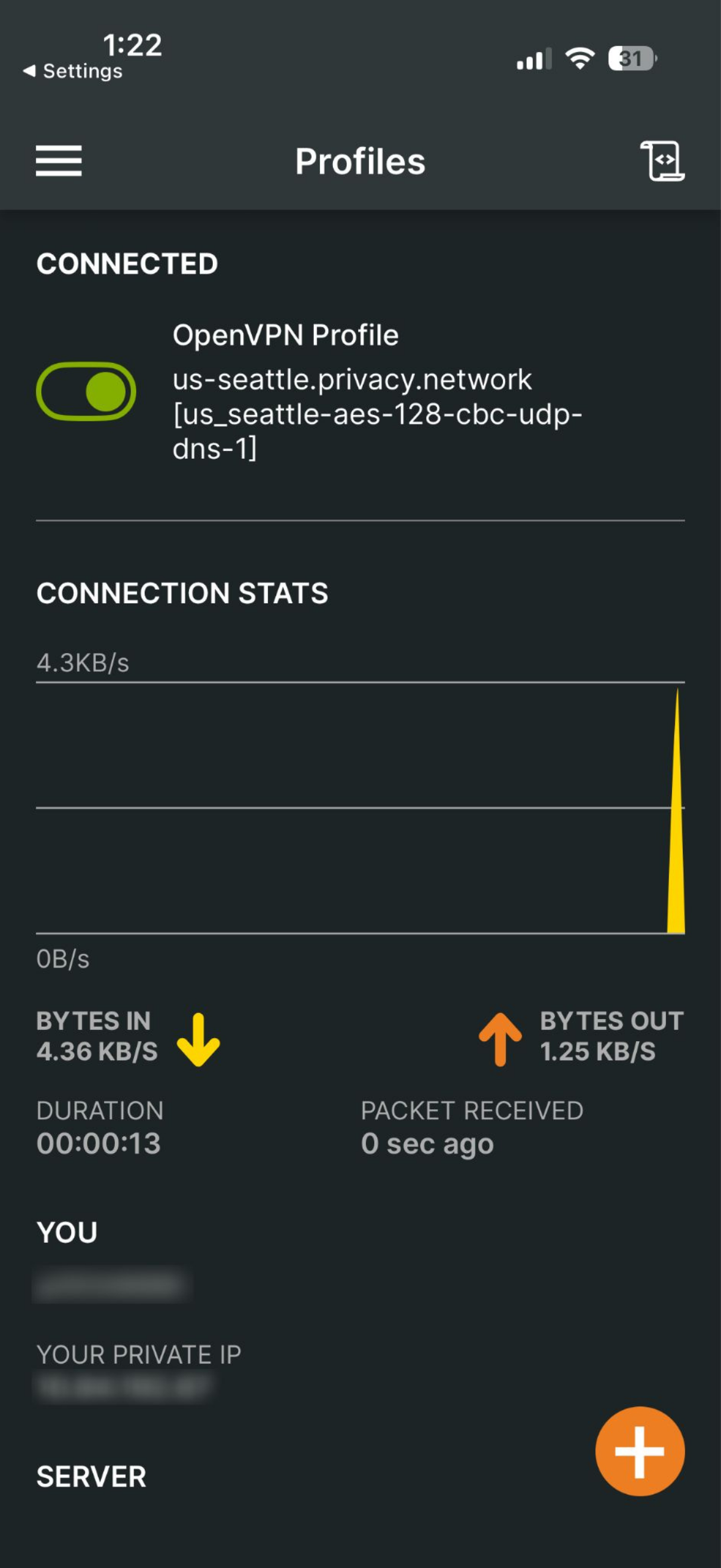 OpenVPN Connect showing an active VPN connection and connection statistics.