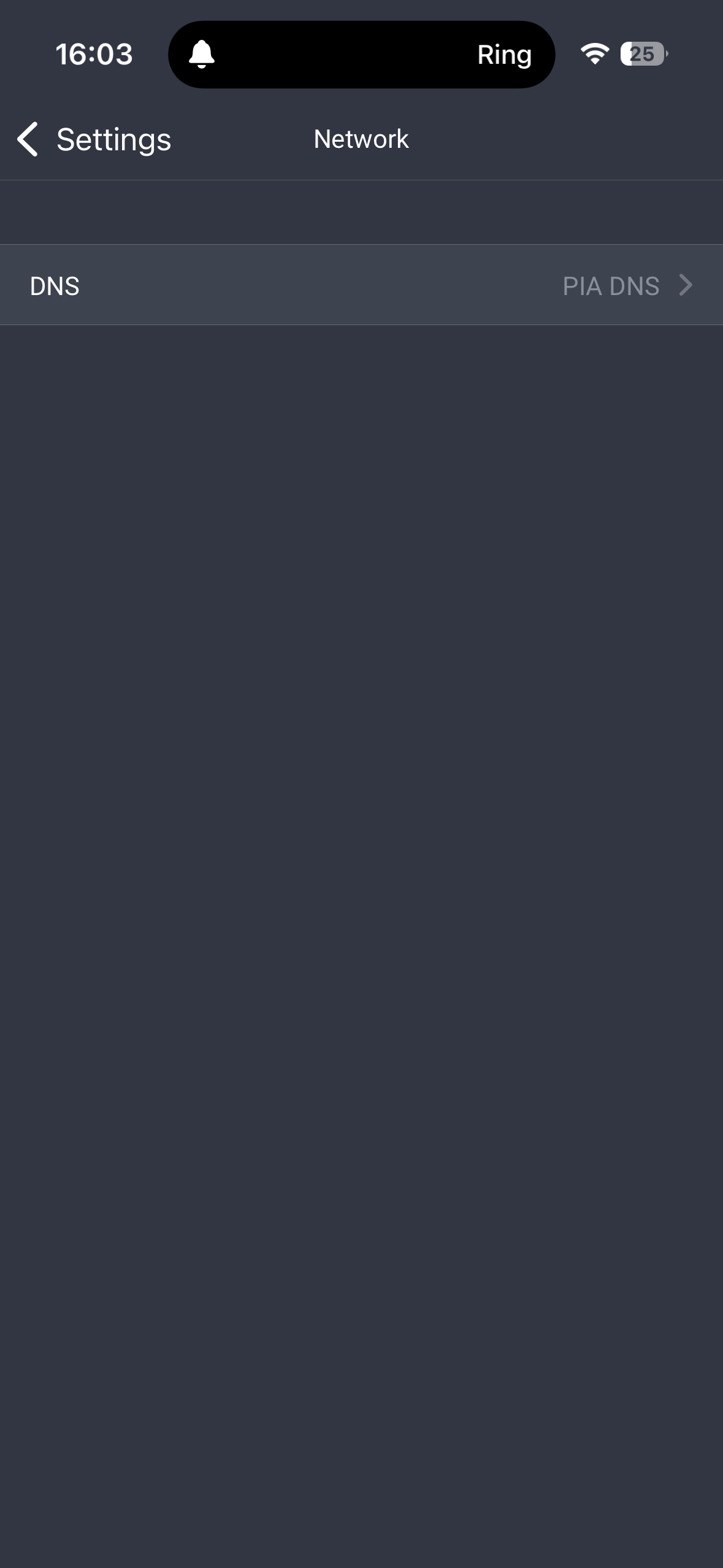 The Network tab in the PIA app for iOS, showing the DNS settings.