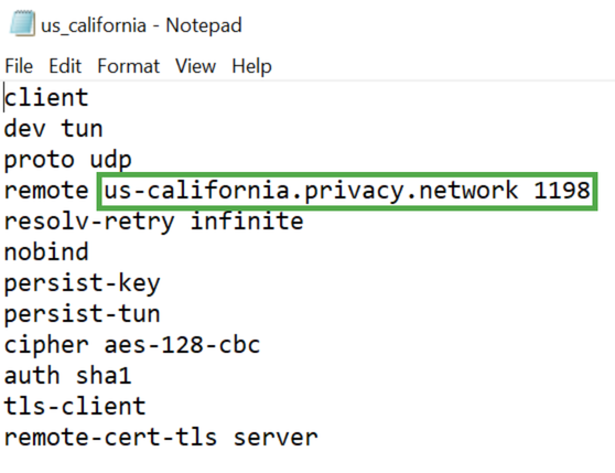 OpenVPN server configuration file opened in a text editor., showing a highlighted server hostname and port number.
