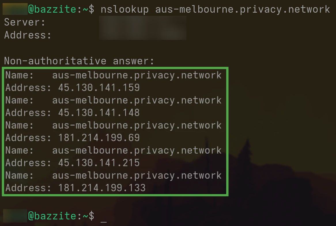 Linux terminal showing the OpenVPN server IP addresses.