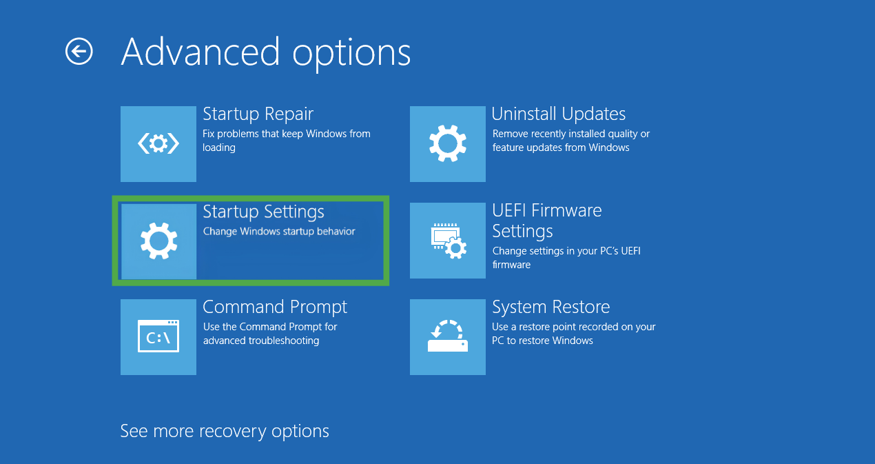 Blue Windows "Advanced options" menu, with the "Startup Settings" tile highlighted in a green box.