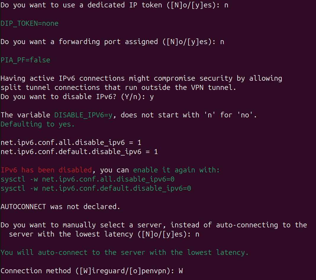 Terminal showing the PIA manual connection configuration.