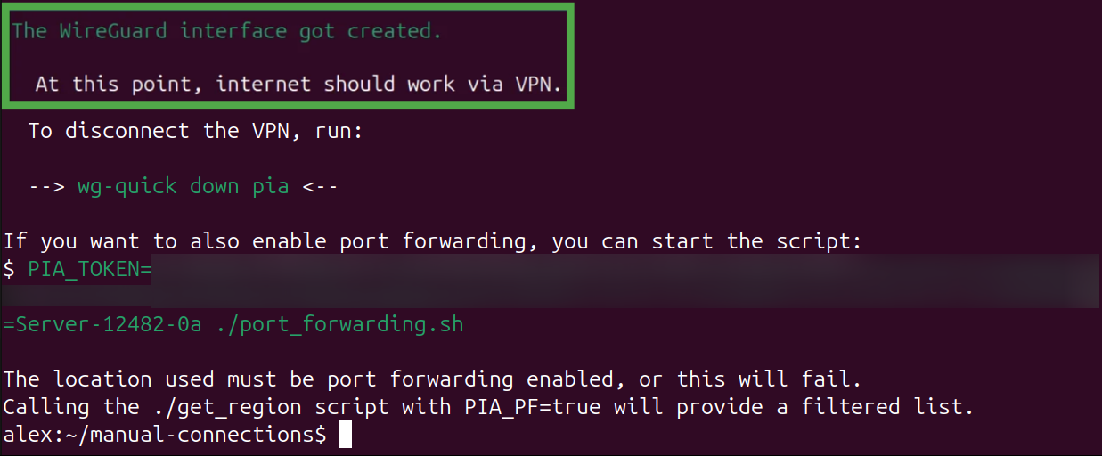 Terminal showing the PIA manual configuration successfully connecting.