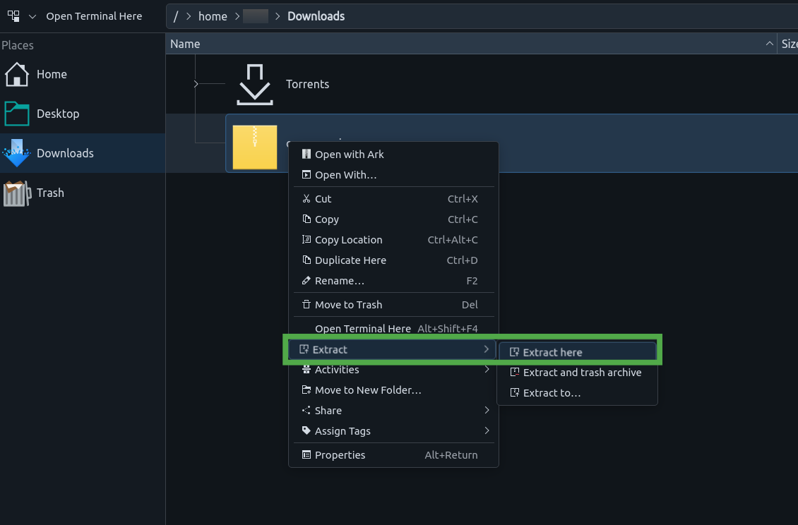 Linux desktop showing the "Extract" options for an archive.