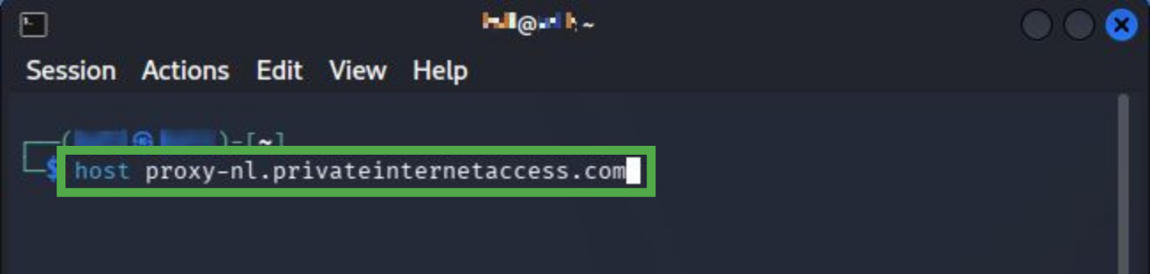 The Linux terminal showing the DNS lookup command
