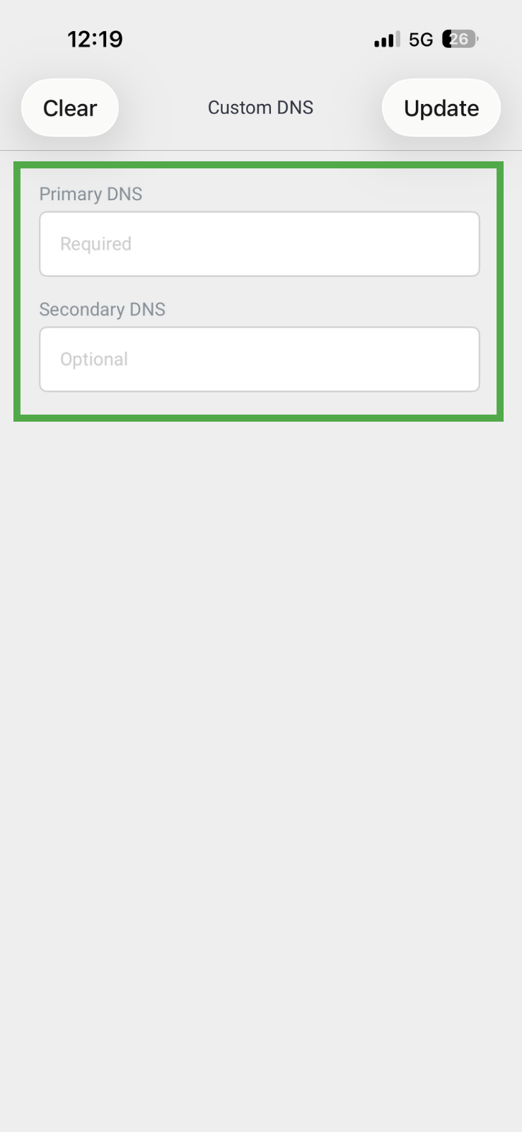 PIA iOS app showing Custom DNS menu, with the Primary and Secondary DNS fields highlighted in a green box.