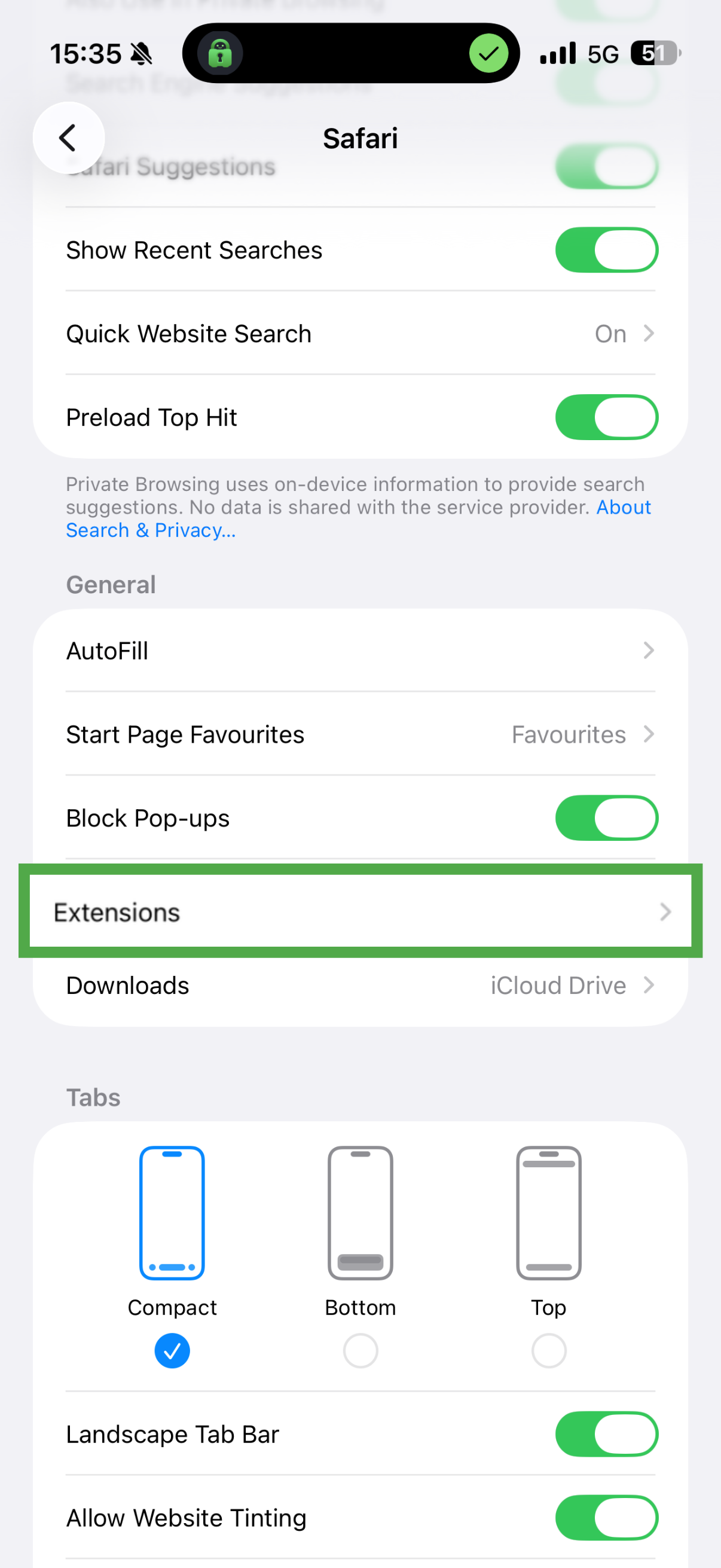iOS Safari settings showing Extensions highlighted.