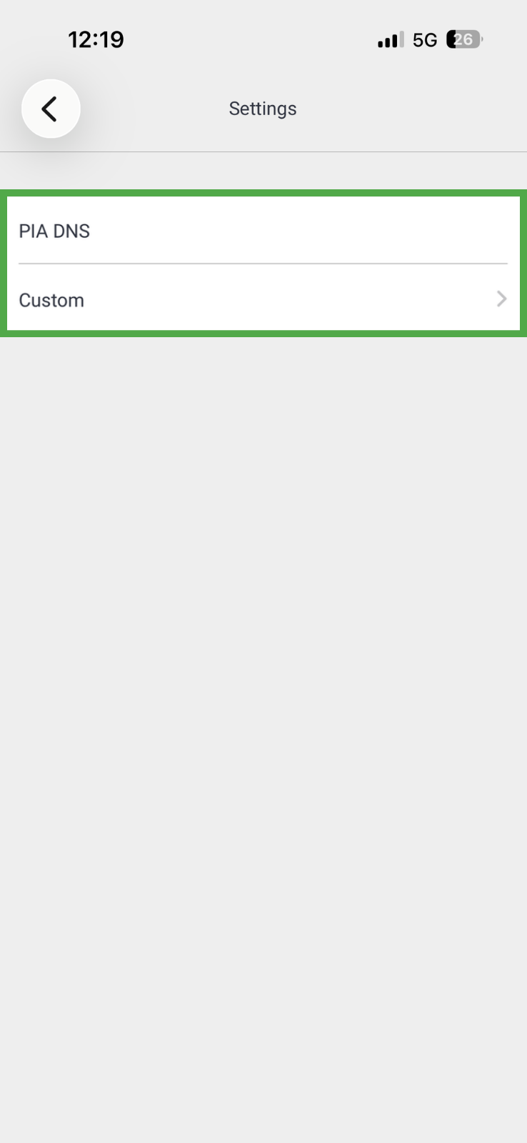 PIA iOS app showing network menu, with the PIA DNS and Custom options highlighted in a green box.