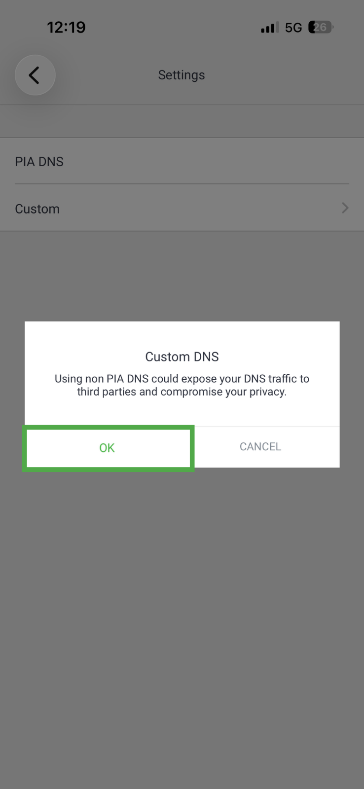 PIA iOS app showing Custom DNS pop-up menu, with the OK button highlighted in a green box.