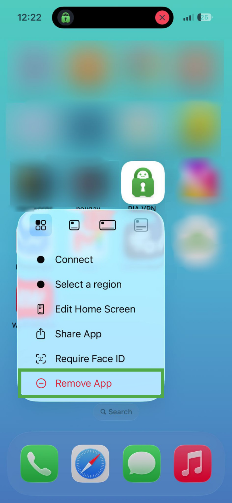 iOS home screen showing the PIA VPN app shortcut menu, with the "Remove App" option highlighted in a green box.